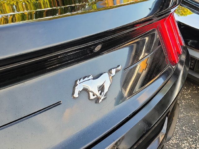 Used 2019 Ford Mustang Coupe RWD image 5