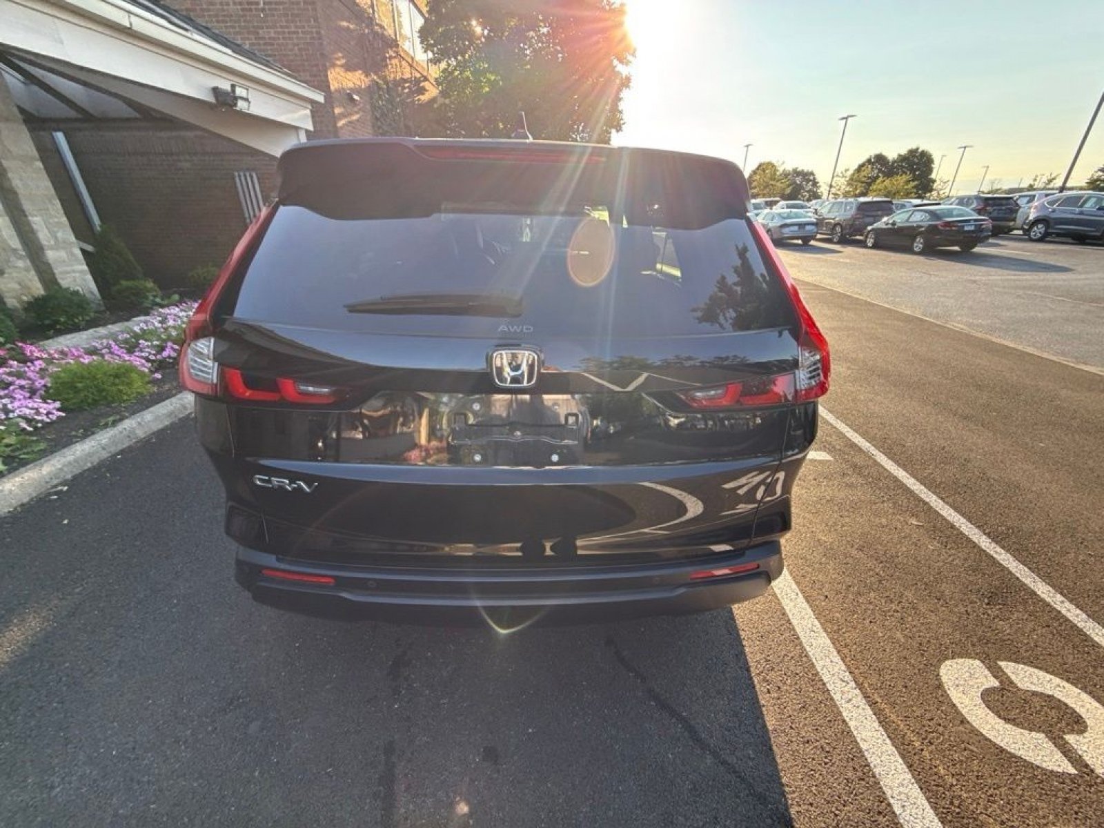 Used 2023 Honda CR-V EX-L image 11