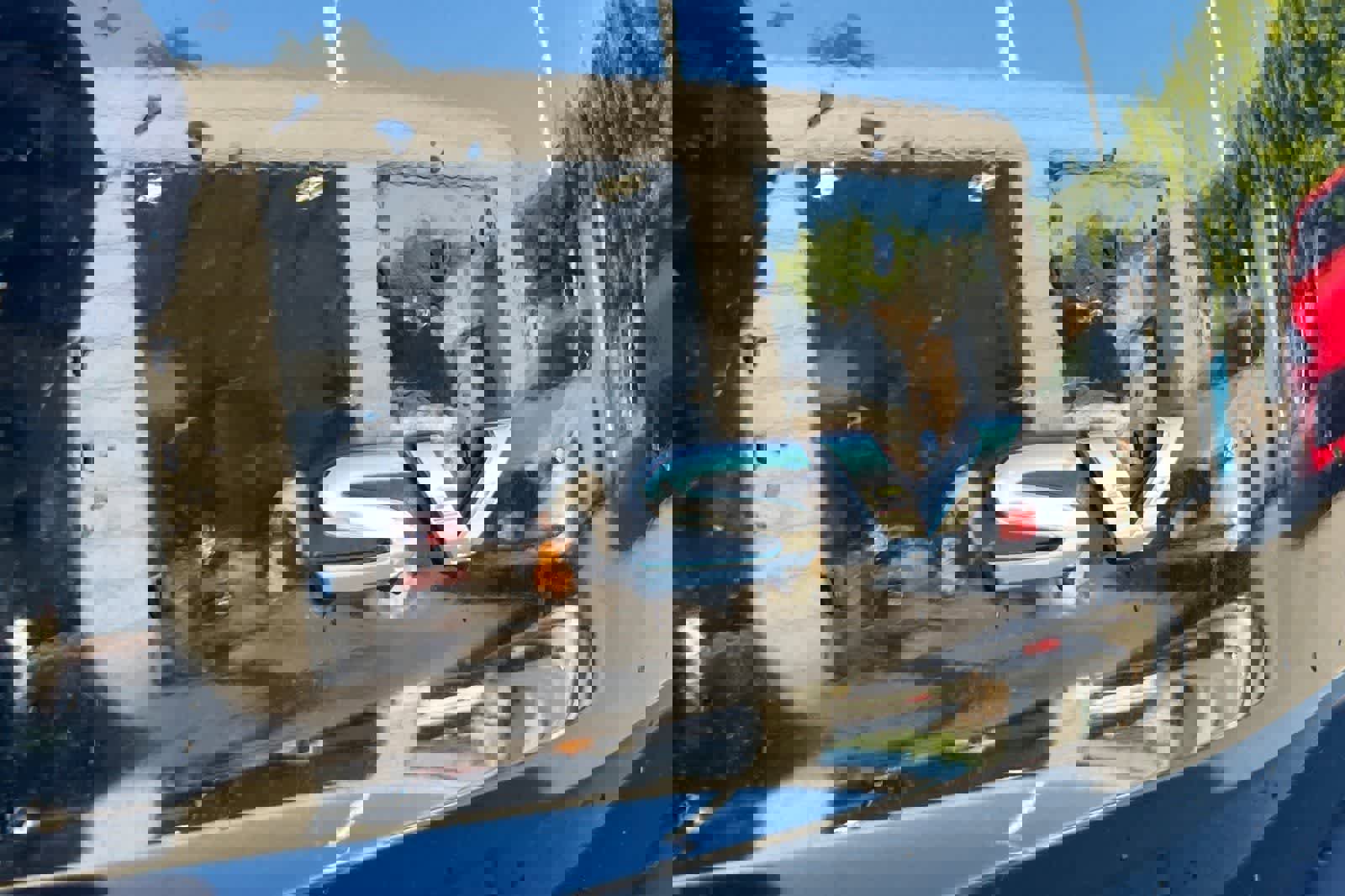 Used 2023 Nissan Rogue SV image 13