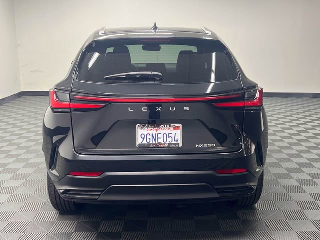 Certified 2024 Lexus NX 250 FWD image 6