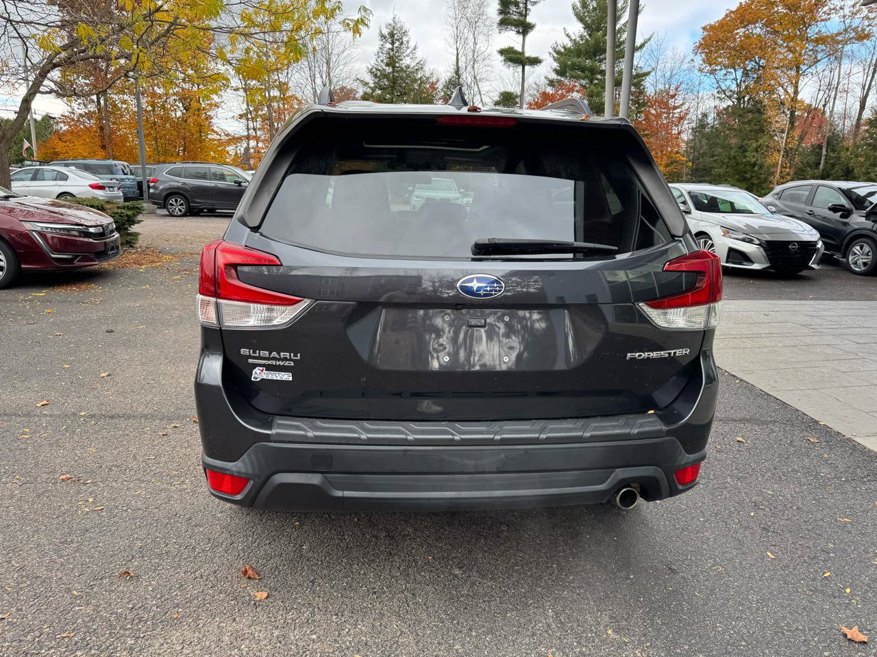 Used 2019 Subaru Forester Limited AWD/4WD image 4
