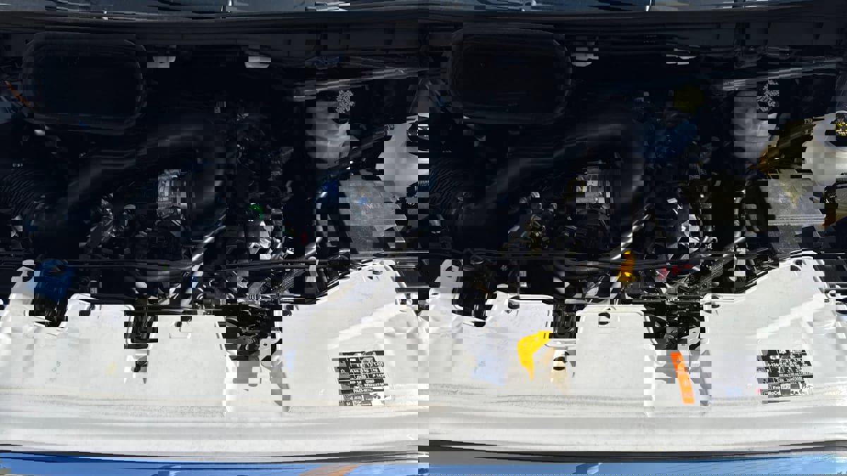 Used 2024 Ford Transit 250 Low Roof w/ Exterior Upgrade Package image 18