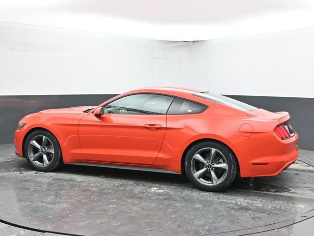 Used 2016 Ford Mustang Coupe w/ Equipment Group 051A image 7