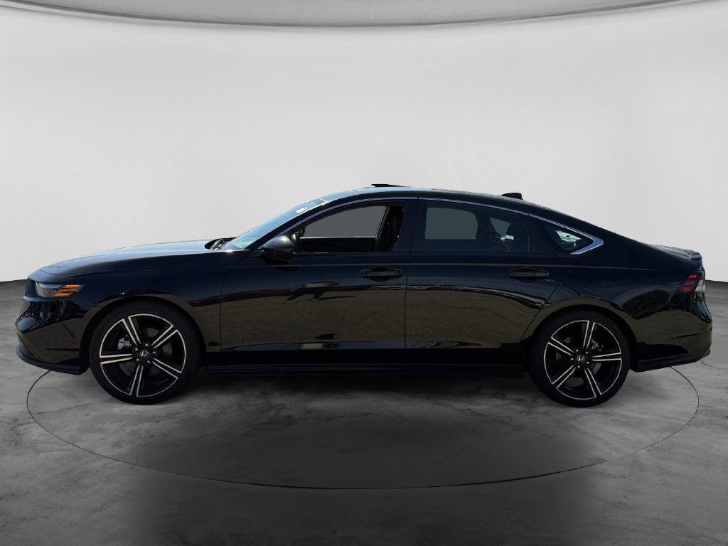 Used 2024 Honda Accord Sport image 5