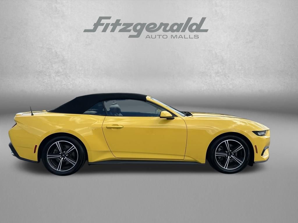 Used 2024 Ford Mustang Premium RWD image 4