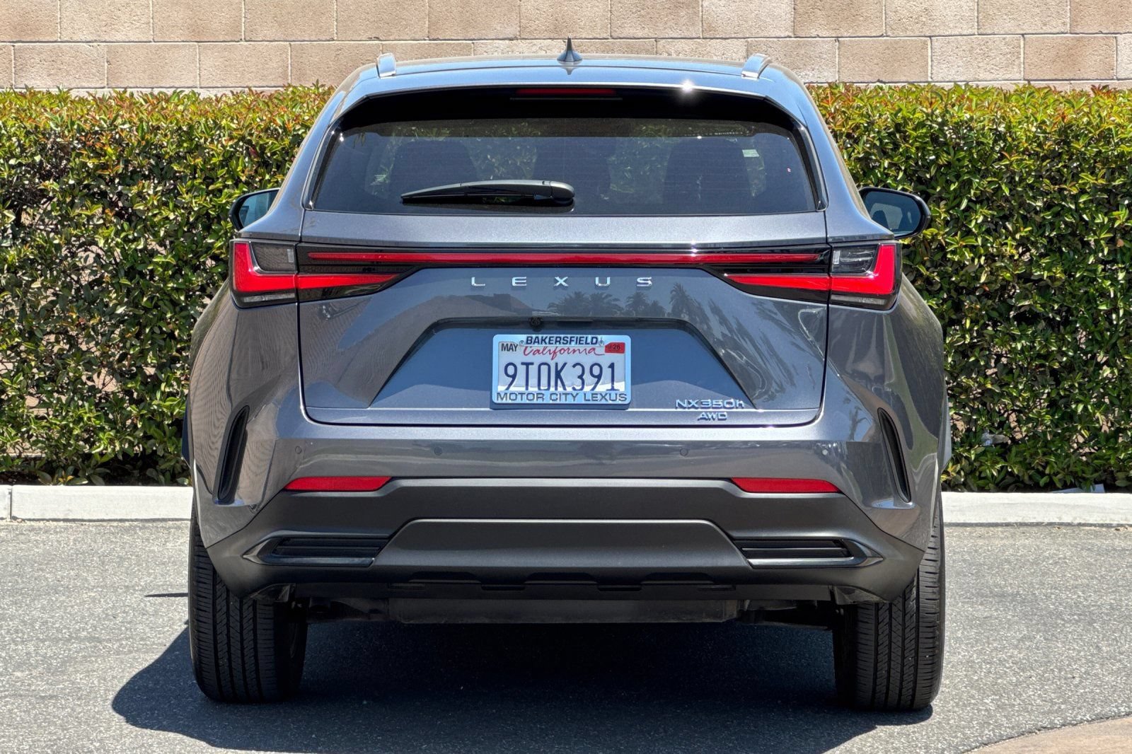 Certified 2025 Lexus NX 350h AWD w/ Cold Area Package image 5