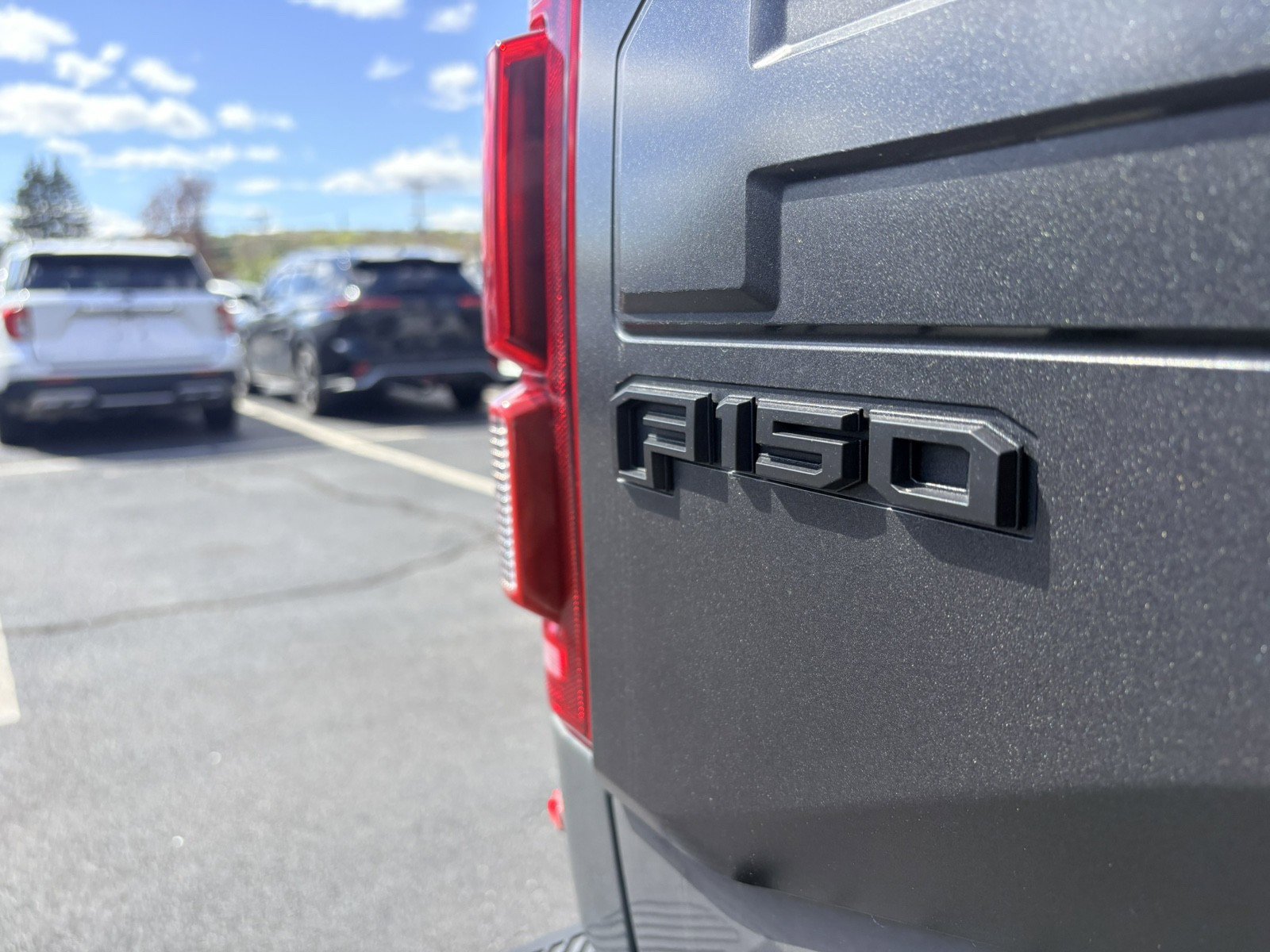 Used 2018 Ford F150 Raptor w/ Equipment Group 802A Luxury AWD/4WD image 10