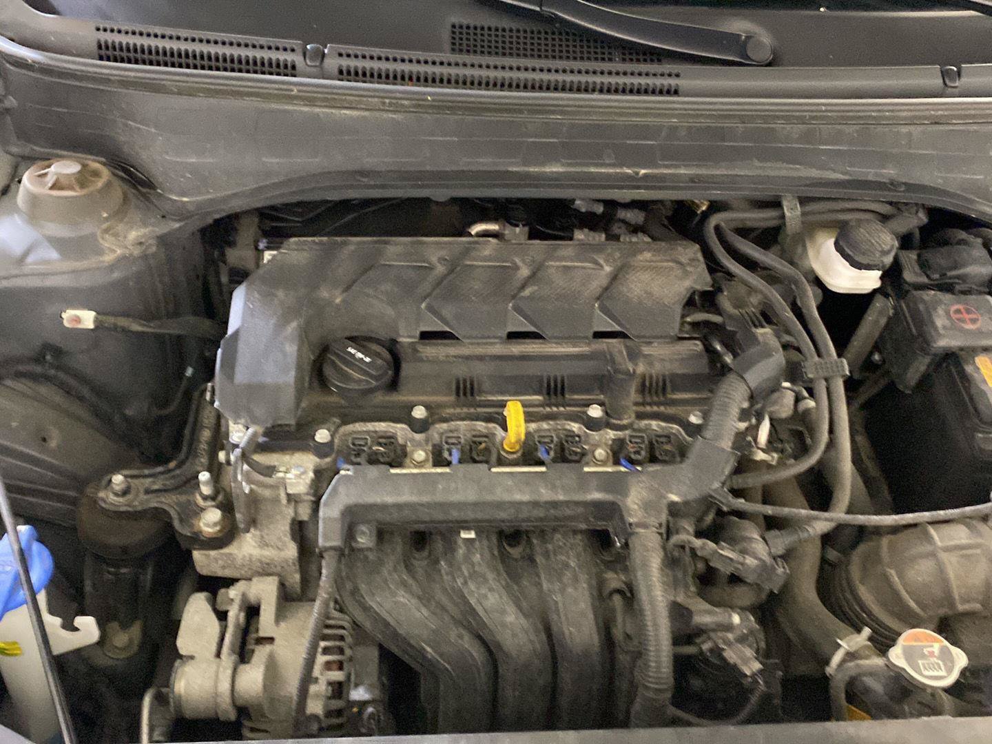 Used 2025 Hyundai Venue SEL FWD image 5
