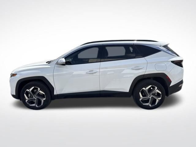 Used 2023 Hyundai Tucson Limited image 2