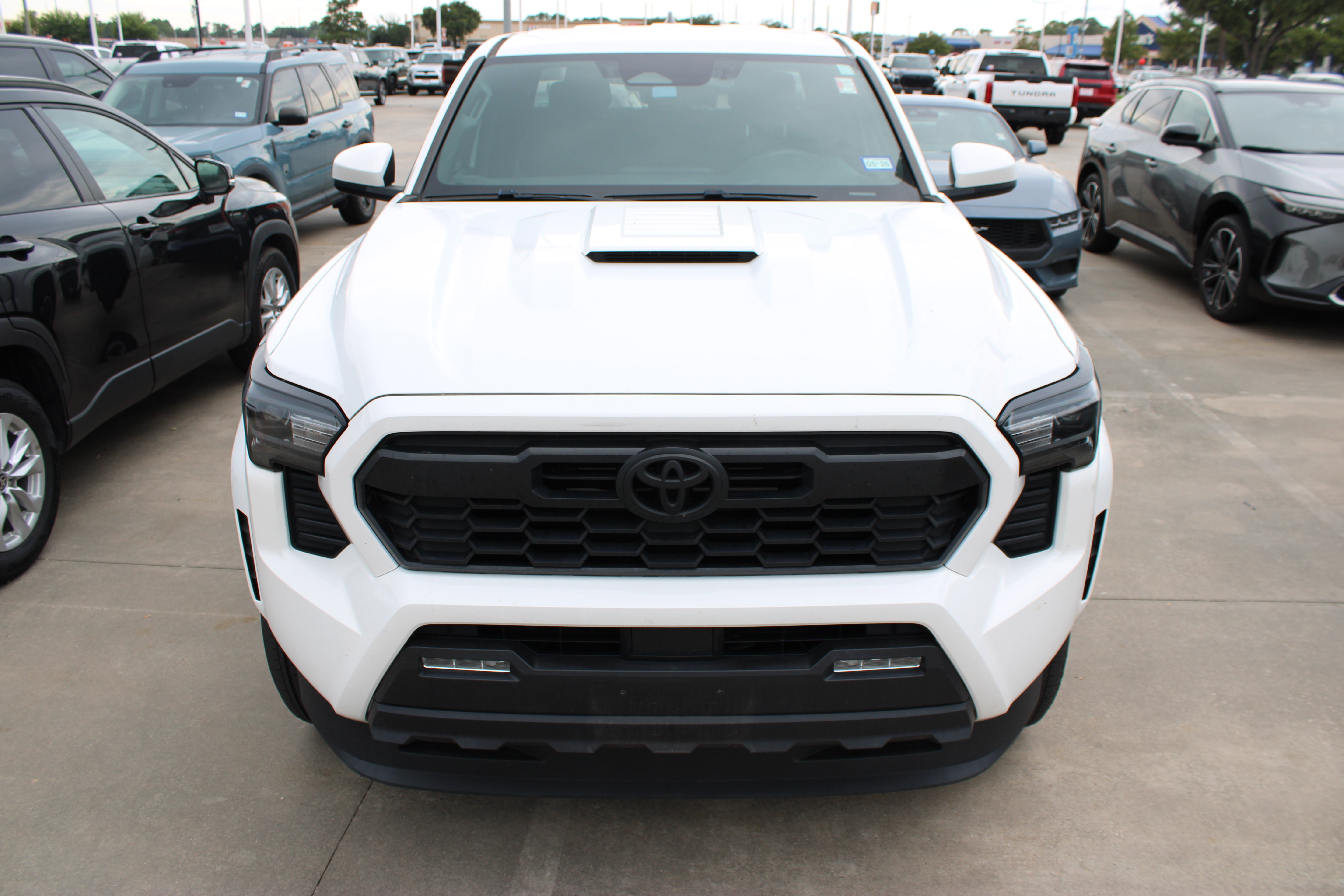 Used 2024 Toyota Tacoma TRD Sport RWD image 3