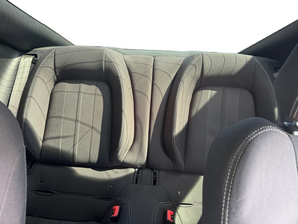 Used 2019 Ford Mustang GT w/ Equipment Group 301A RWD image 13