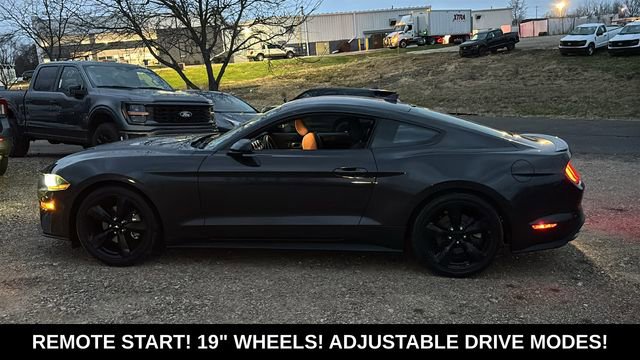 Used 2023 Ford Mustang Coupe w/ Equipment Group 101A image 4