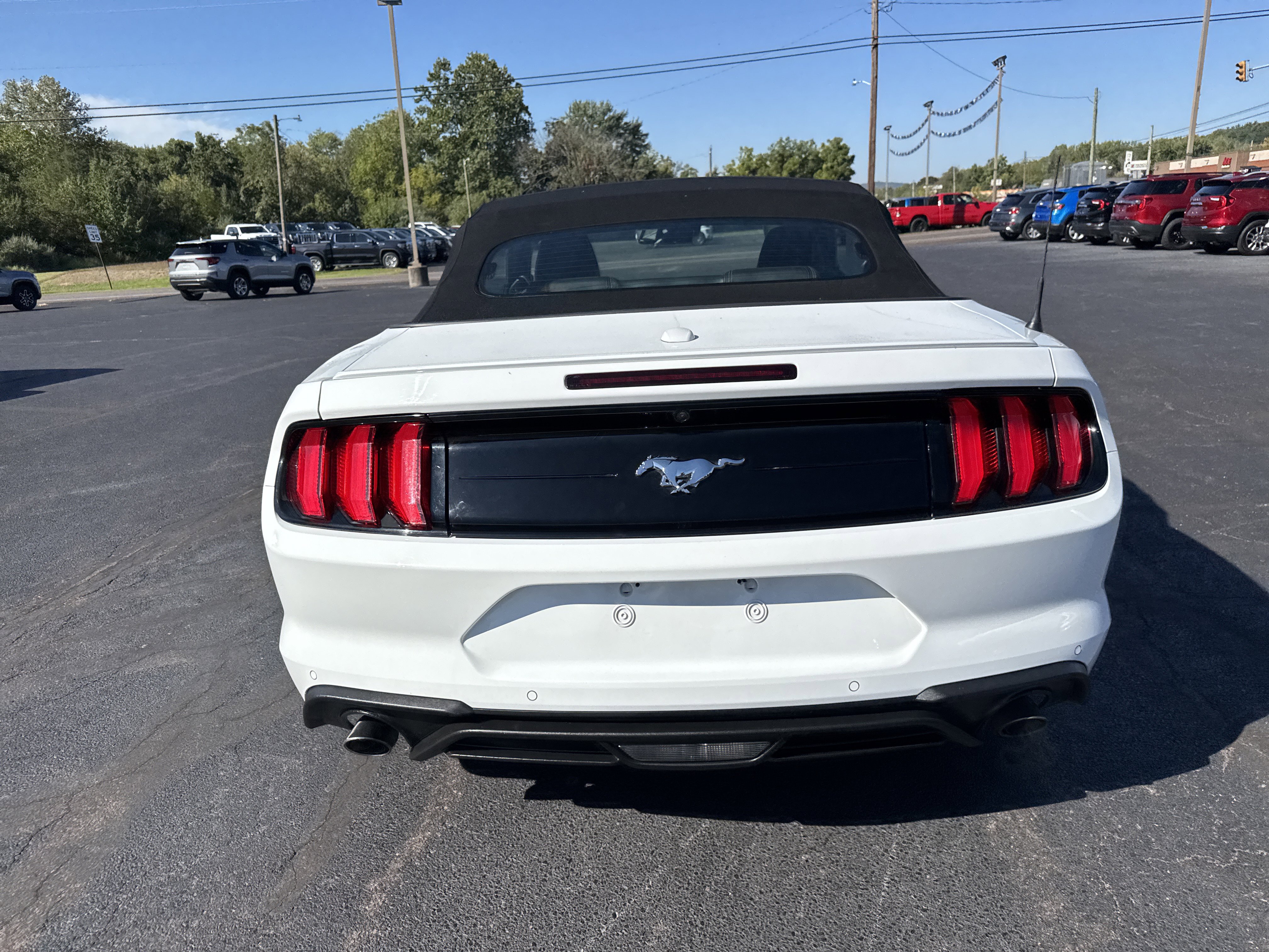Used 2023 Ford Mustang Premium image 4