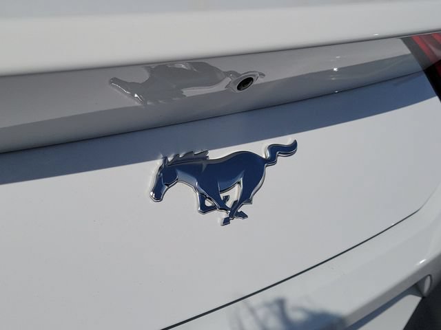 Used 2024 Ford Mustang Coupe RWD image 5