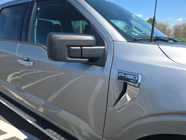 Used 2025 Ford F150 XLT w/ Equipment Group 301A Standard image 5