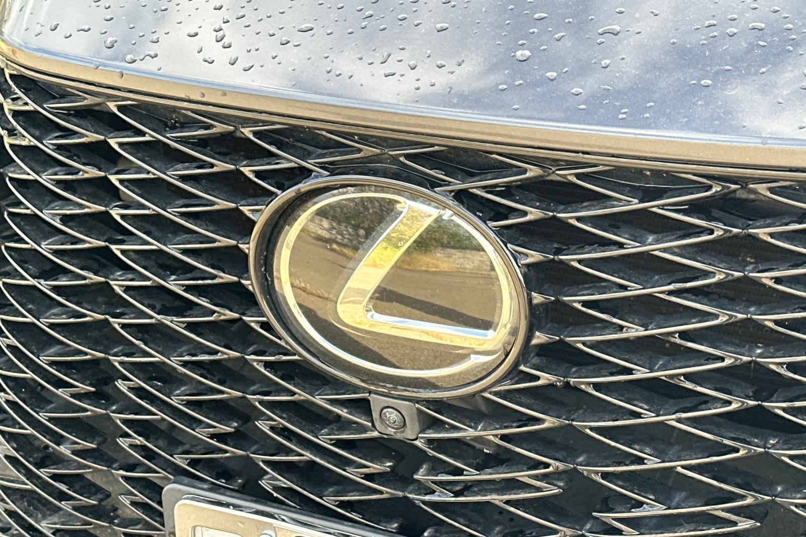Used 2022 Lexus NX 350 F Sport AWD/4WD image 10