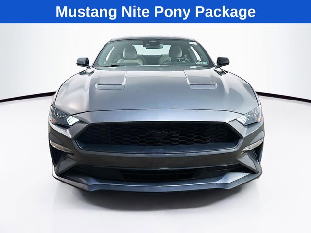 Certified 2023 Ford Mustang EcoBoost w/ Equipment Group 101A image 3