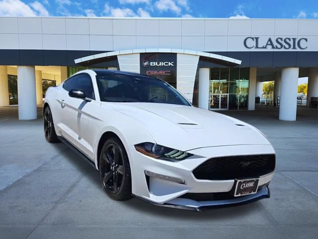 Used 2023 Ford Mustang Premium w/ Mustang Nite Pony Package RWD image 2