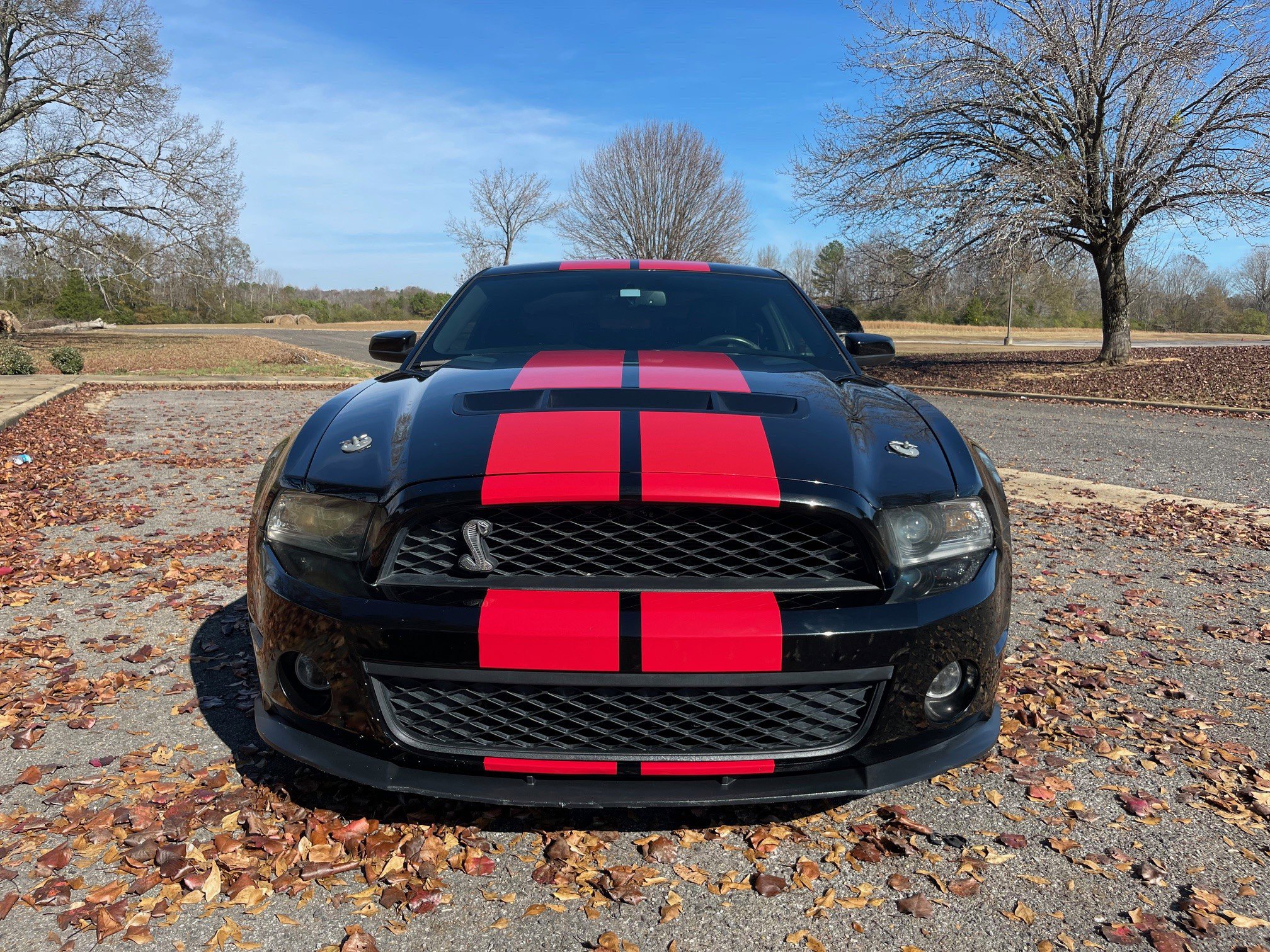 Used 2012 Ford Mustang Shelby GT500 w/ SVT Performance Pkg RWD image 8