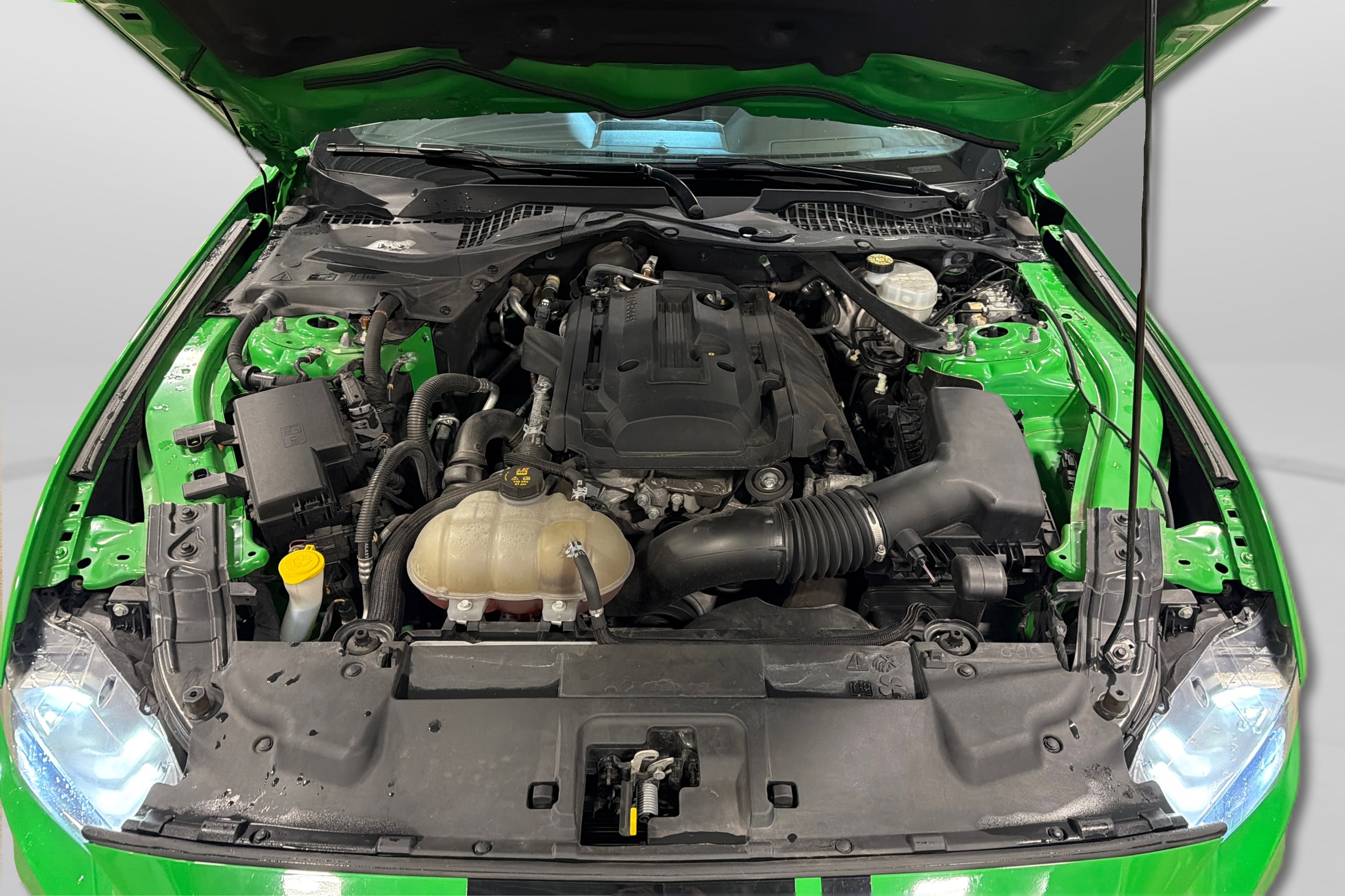 Used 2019 Ford Mustang Premium RWD image 11
