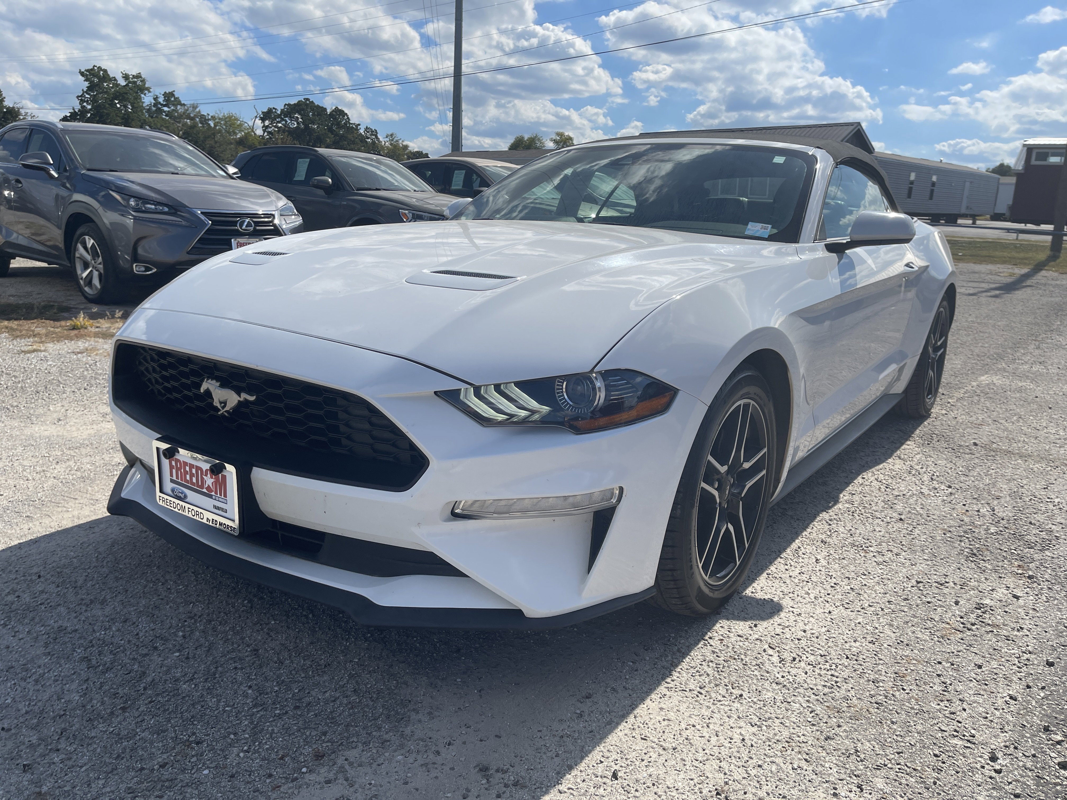 Used 2022 Ford Mustang Premium image 8