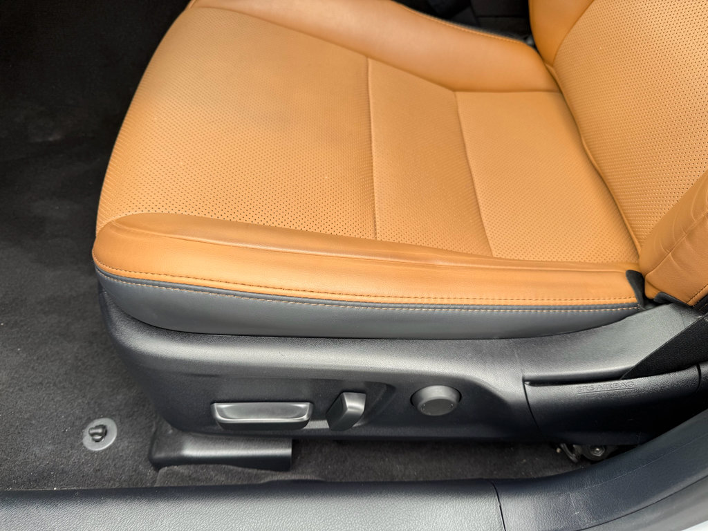 Used 2023 Lexus IS 300 w/ Premium Package image 14