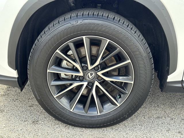 Certified 2024 Lexus NX 350 AWD w/ Cold Area Package image 9