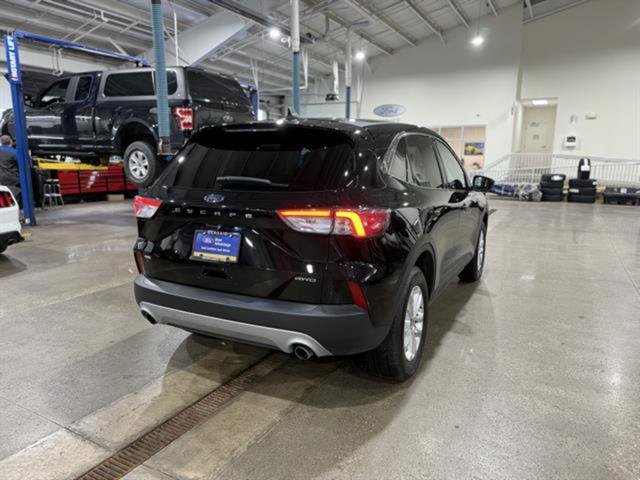 Certified 2022 Ford Escape SE w/ Convenience Package AWD/4WD image 7