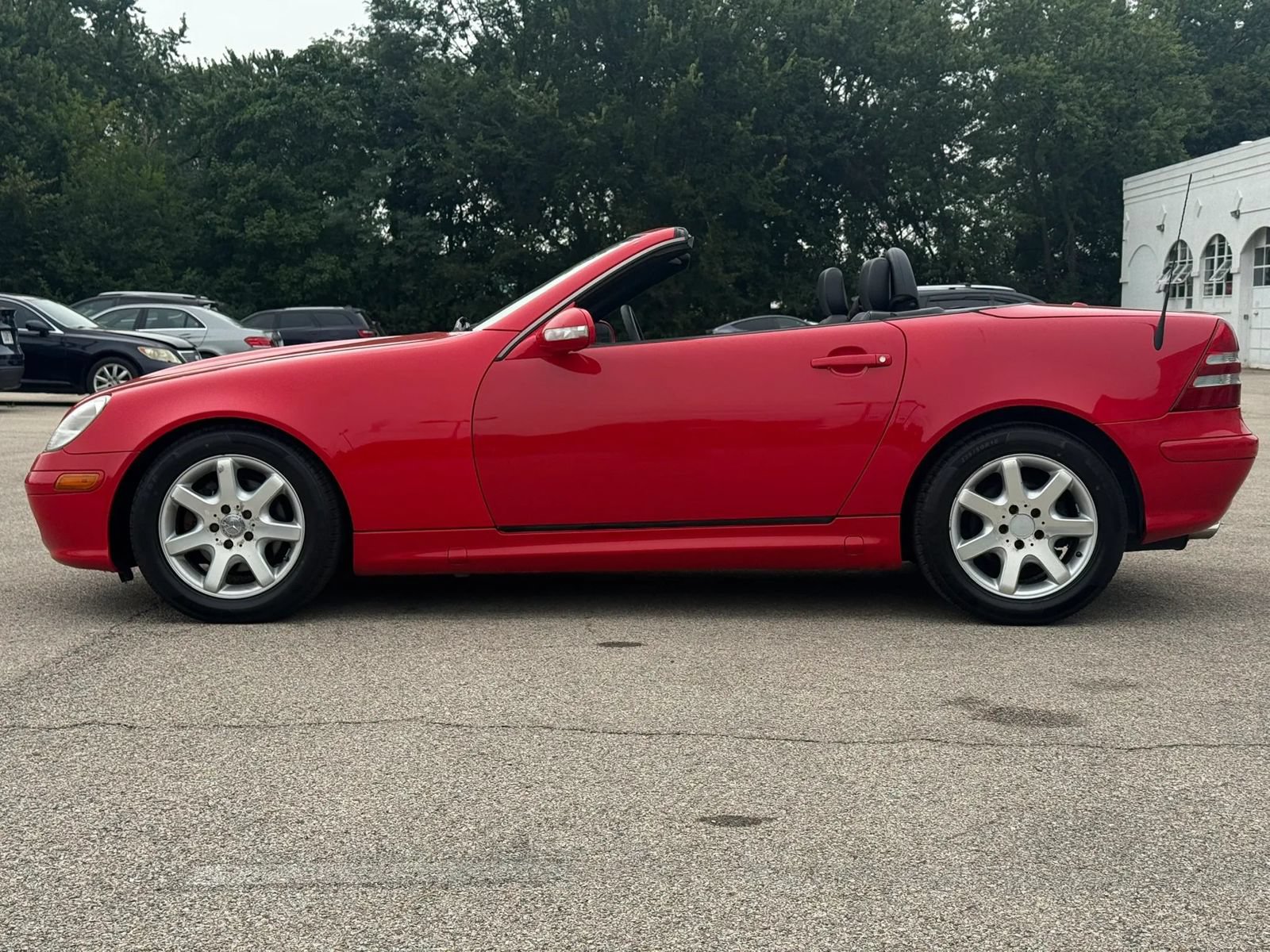 Used 2004 Mercedes-Benz SLK 230 image 6