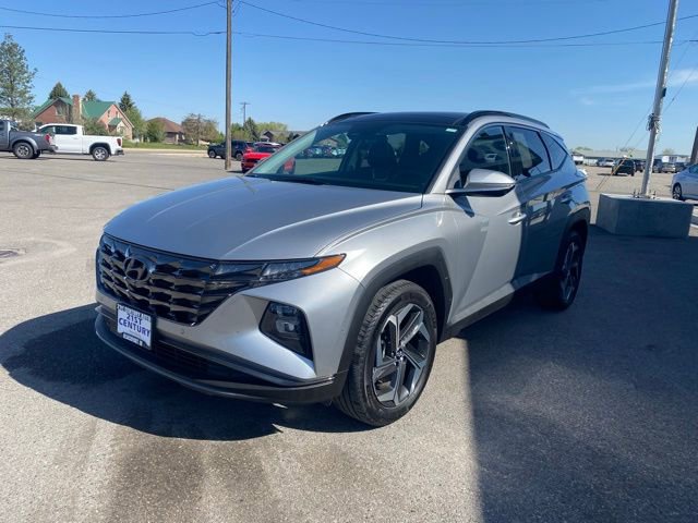 Used 2024 Hyundai Tucson Limited image 3