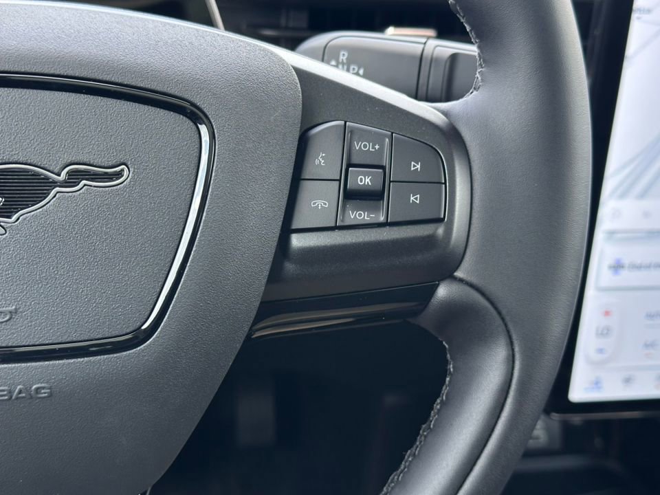 New 2025 Ford Mustang Mach-E Premium w/ Interior Protection Package AWD/4WD image 25