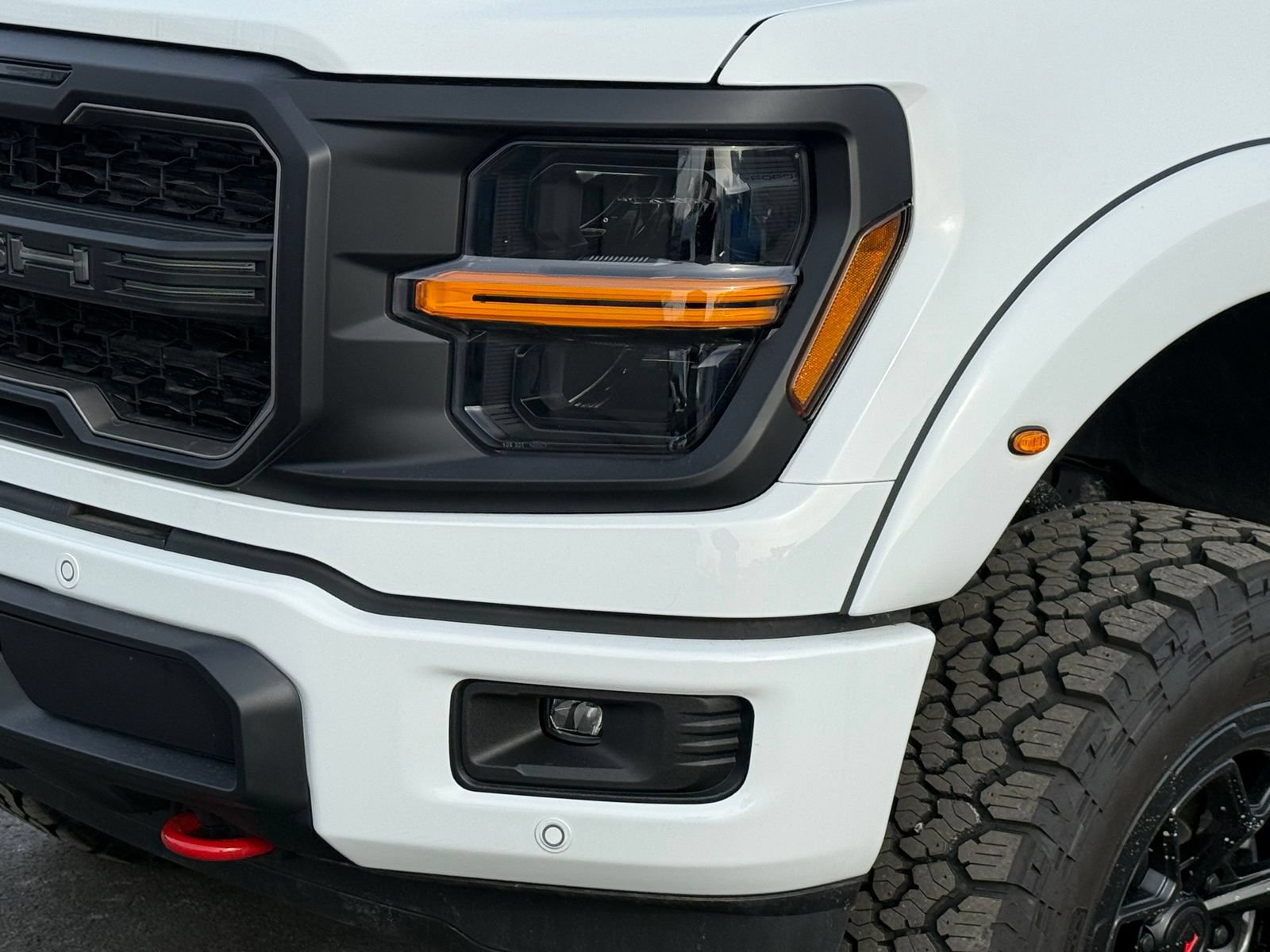 New 2025 Ford F150 XLT w/ Equipment Group 303A High AWD/4WD image 10