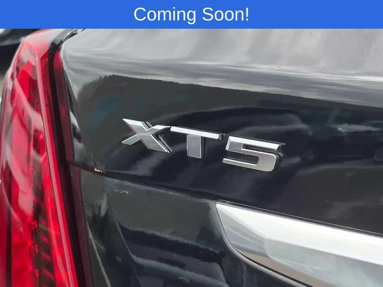 Used 2024 Cadillac XT5 Premium Luxury AWD/4WD image 12