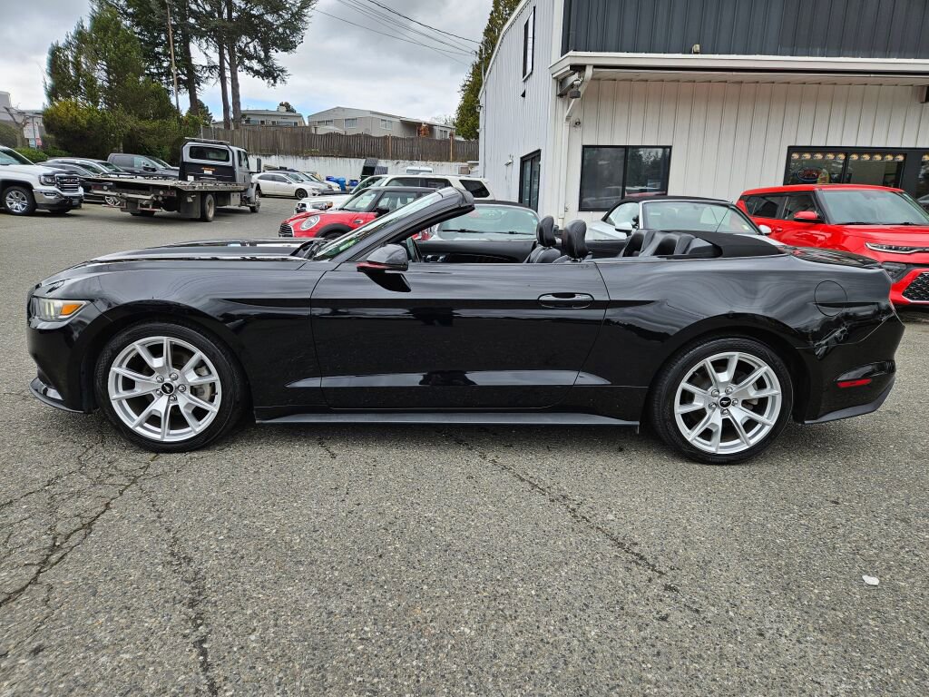 Used 2015 Ford Mustang Premium w/ Equipment Group 201A image 17