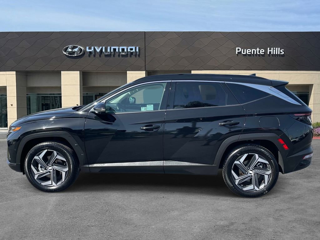 Certified 2024 Hyundai Tucson Limited image 3