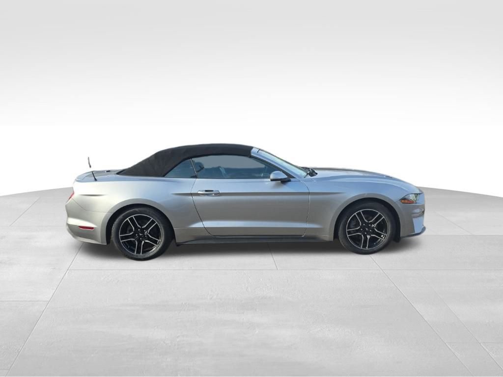 Used 2020 Ford Mustang Premium w/ Equipment Group 201A image 4