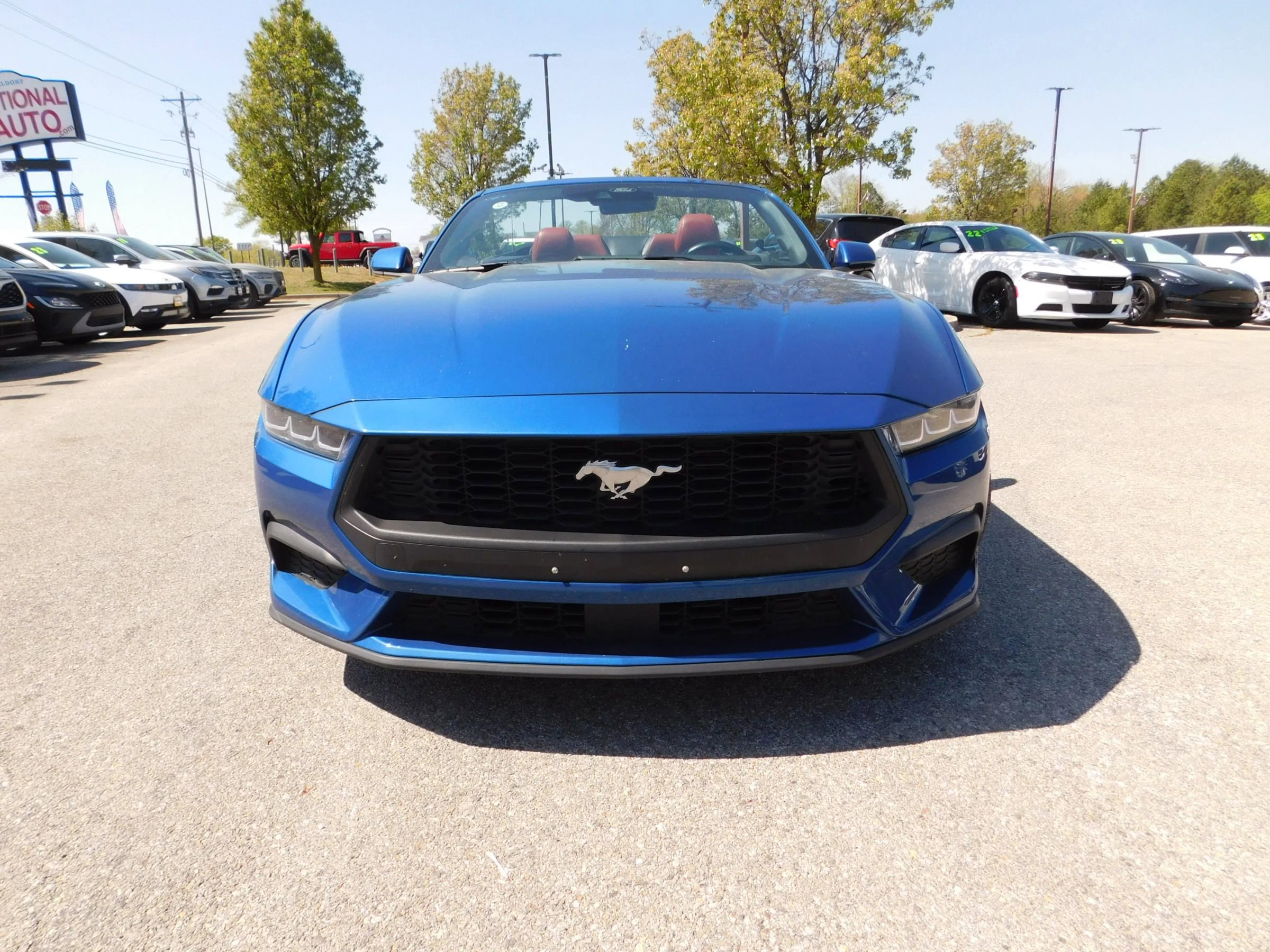 Used 2024 Ford Mustang Premium image 3