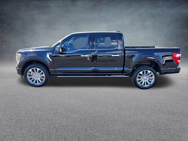 Used 2021 Ford F150 Limited AWD/4WD image 4