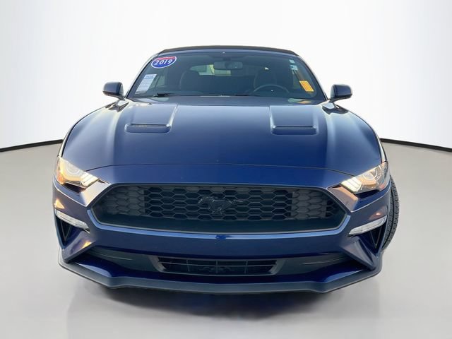 Used 2019 Ford Mustang Convertible w/ Equipment Group 101A RWD image 3