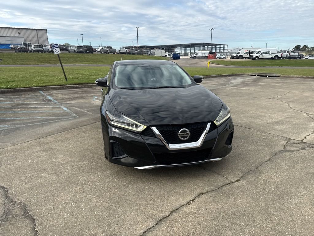 Used 2019 Nissan Maxima 3.5 SV w/ Floor Mat Group image 3