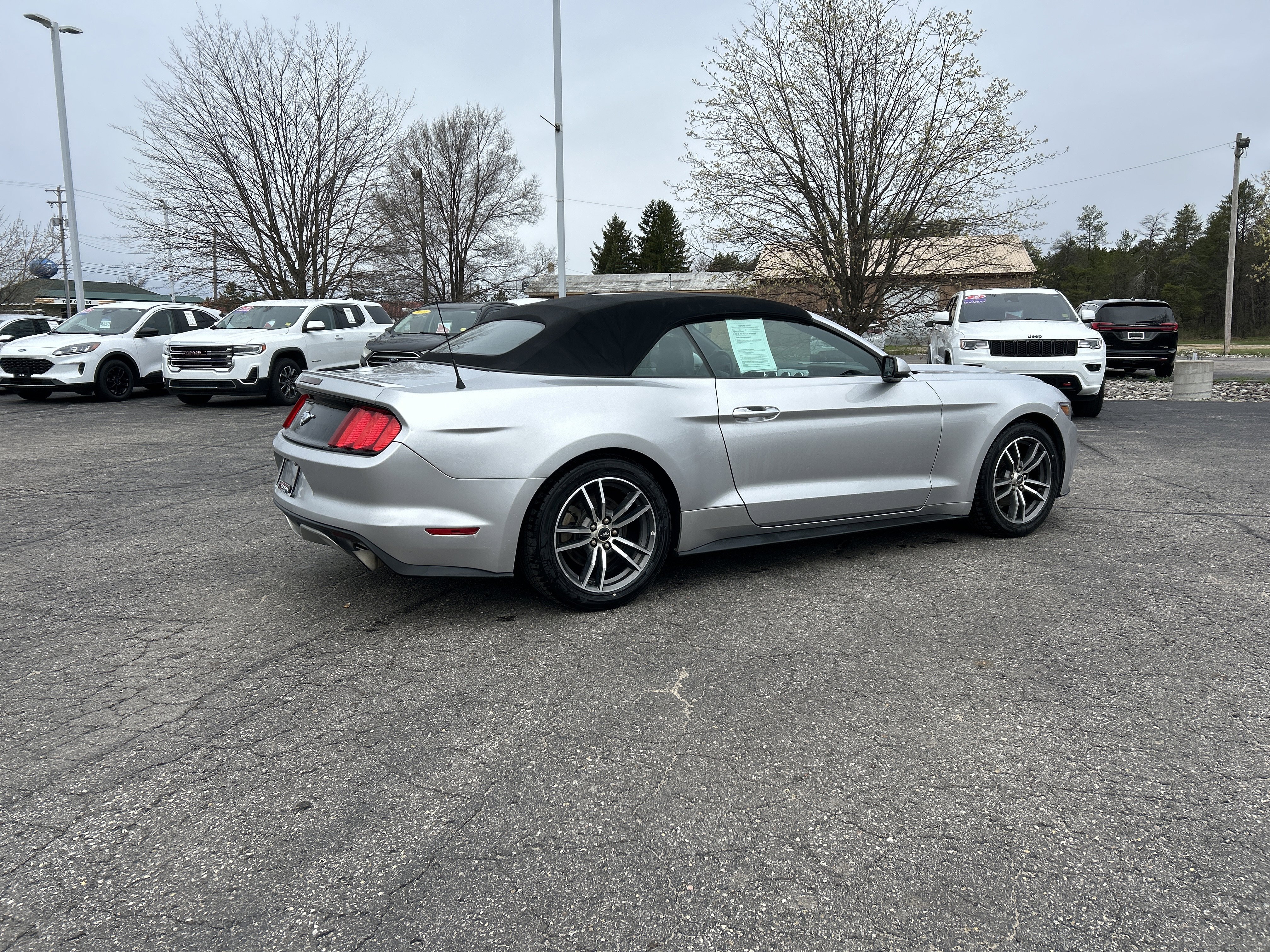 Used 2017 Ford Mustang Premium RWD image 5