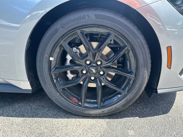 New 2025 Ford Mustang EcoBoost w/ Mustang Nite Pony Package image 13