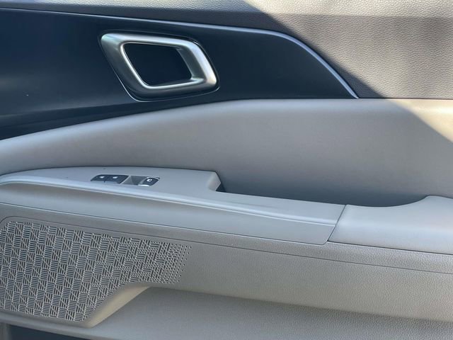 New 2026 Kia Carnival image 17