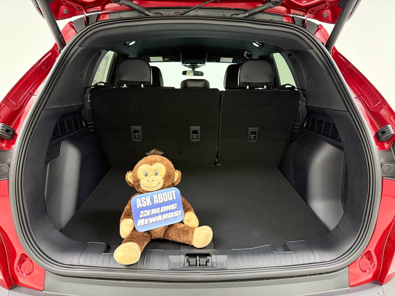 New 2026 Ford Escape ST-Line w/ Tech Pack #1 image 7