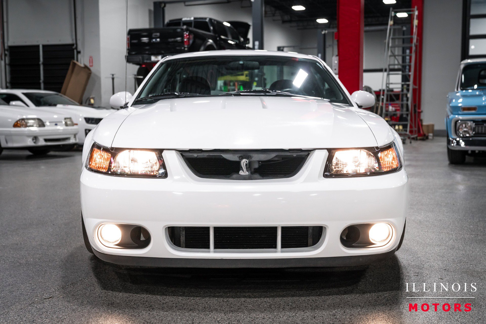 Used 2003 Ford Mustang Cobra image 8