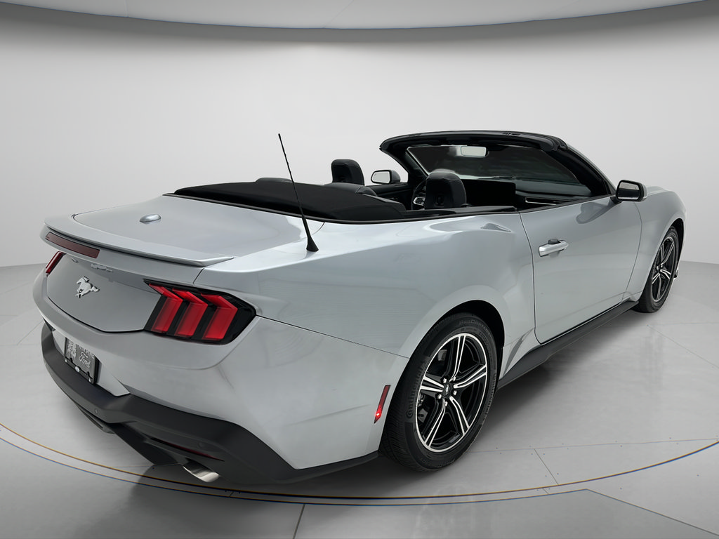 Used 2025 Ford Mustang Premium RWD image 11