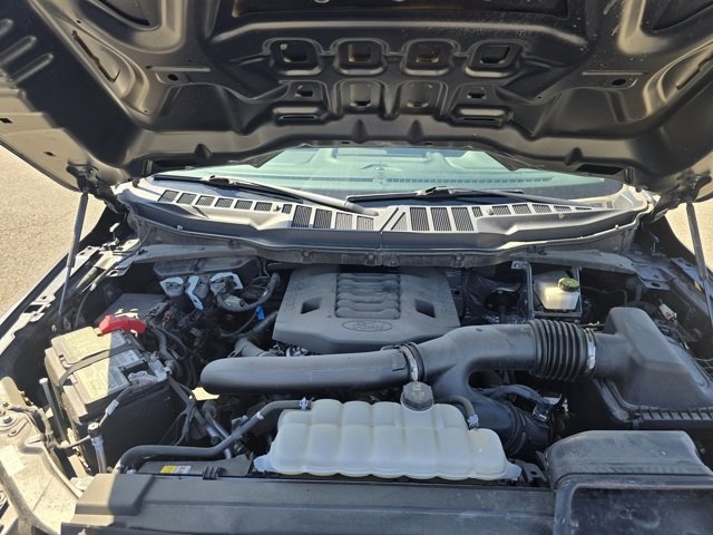 Used 2023 Ford F150 XL w/ Rattler Package image 23