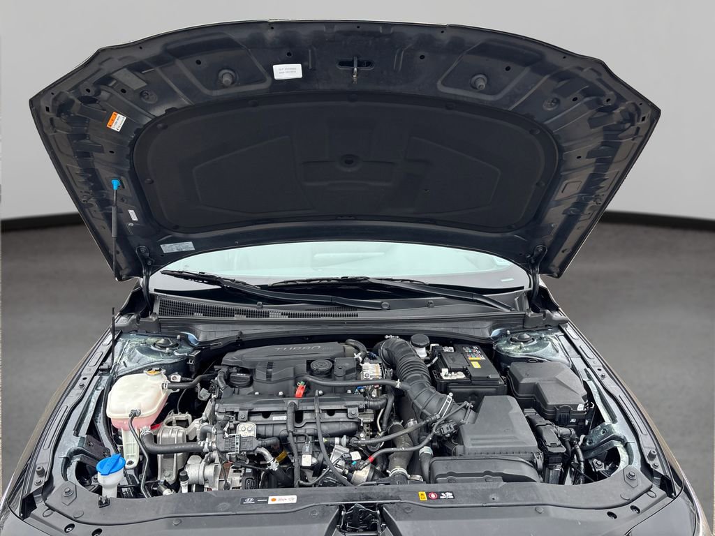 Certified 2024 Hyundai Elantra N Line image 13