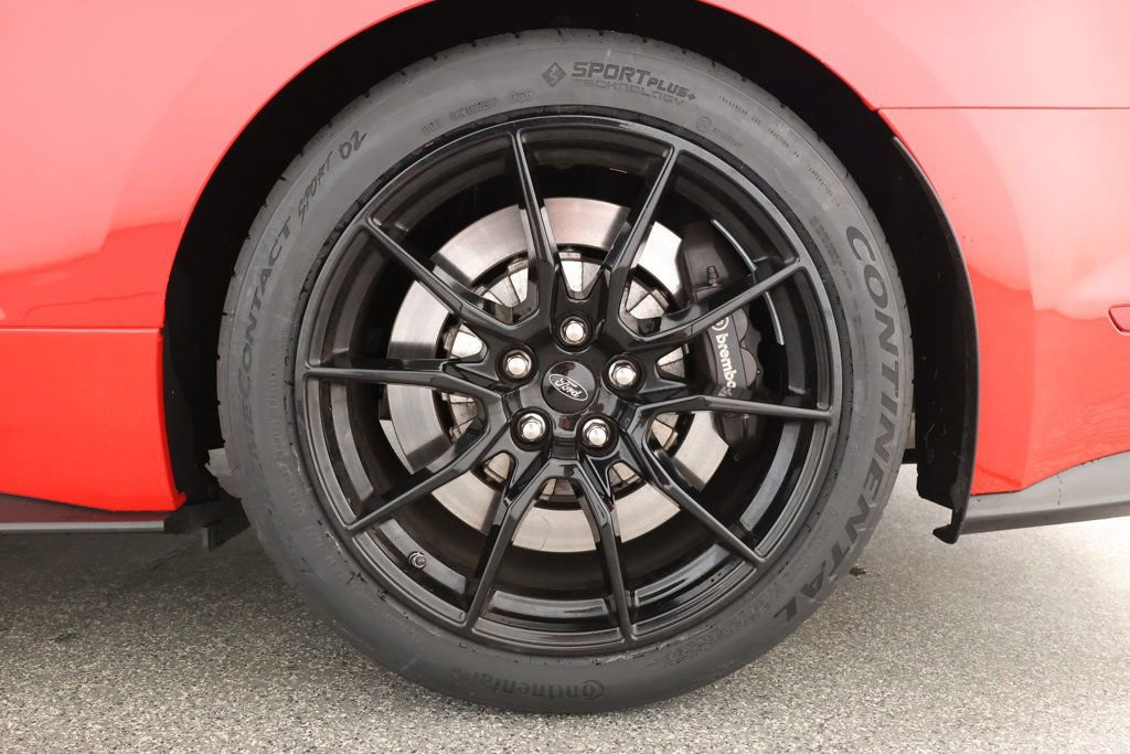 Used 2019 Ford Mustang Shelby GT350 w/ Technology Package image 7