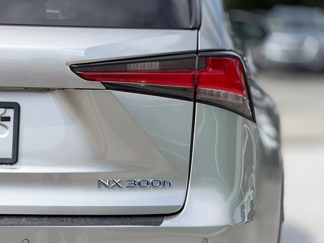 Used 2020 Lexus NX 300h AWD w/ Premium Package image 6